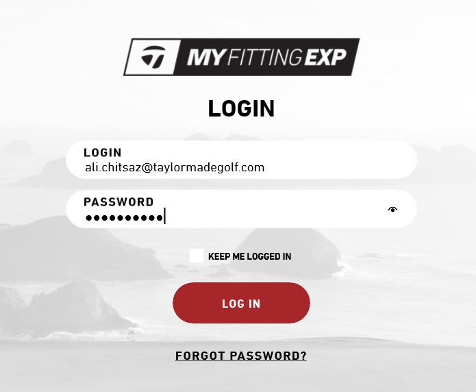 MFE Login Screen